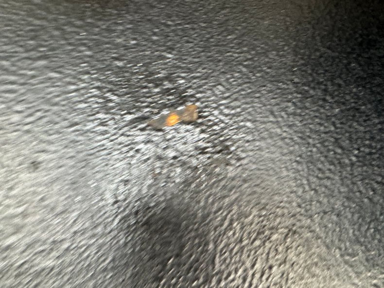 Image 36