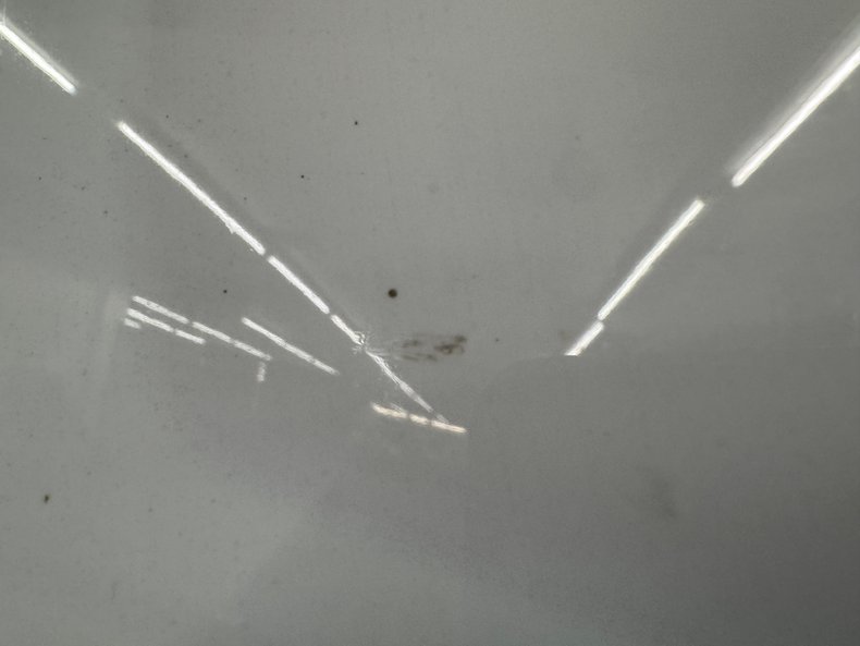 Image 40