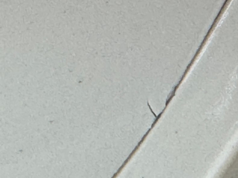 Image 29