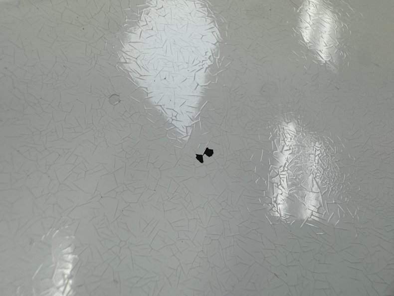 Image 38