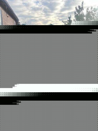 1982 Oldsmobile Delta Eighty-Eight Royale