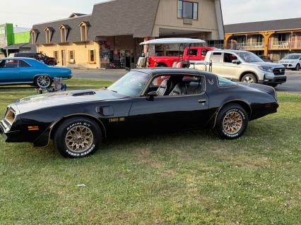 1977 Pontiac Trans Am
