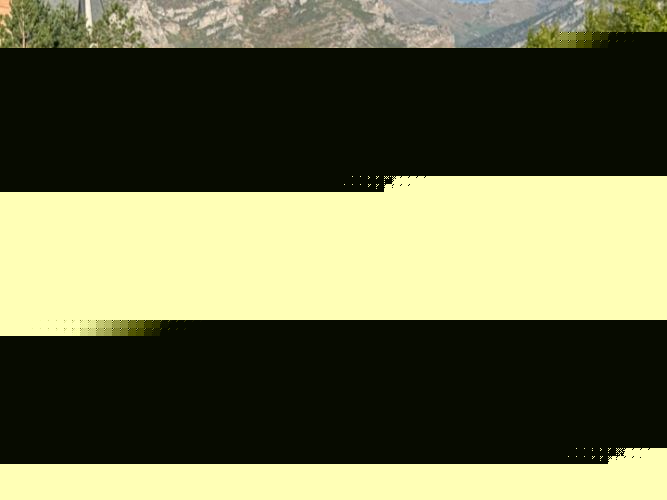 Image 20