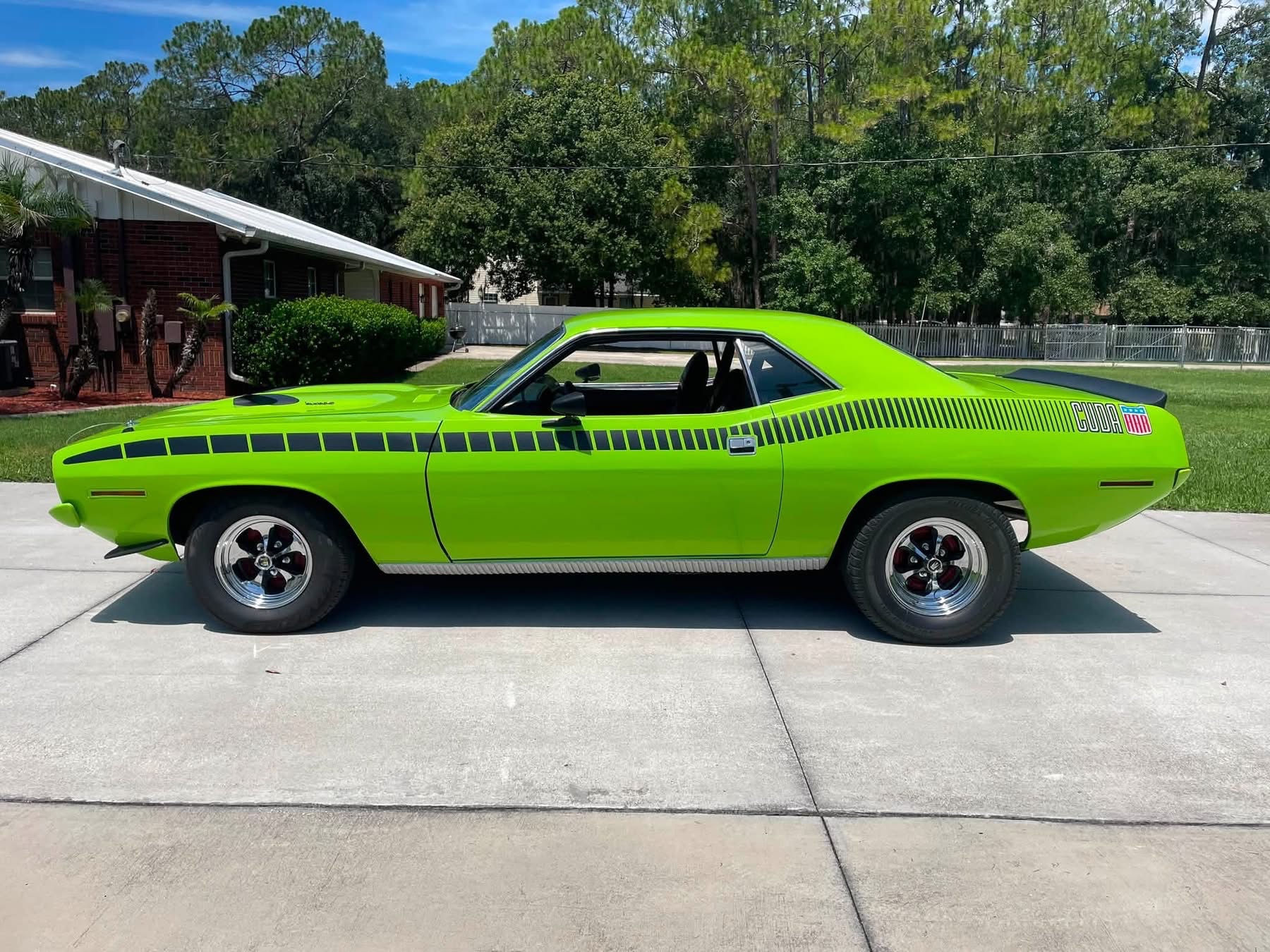 Image 6