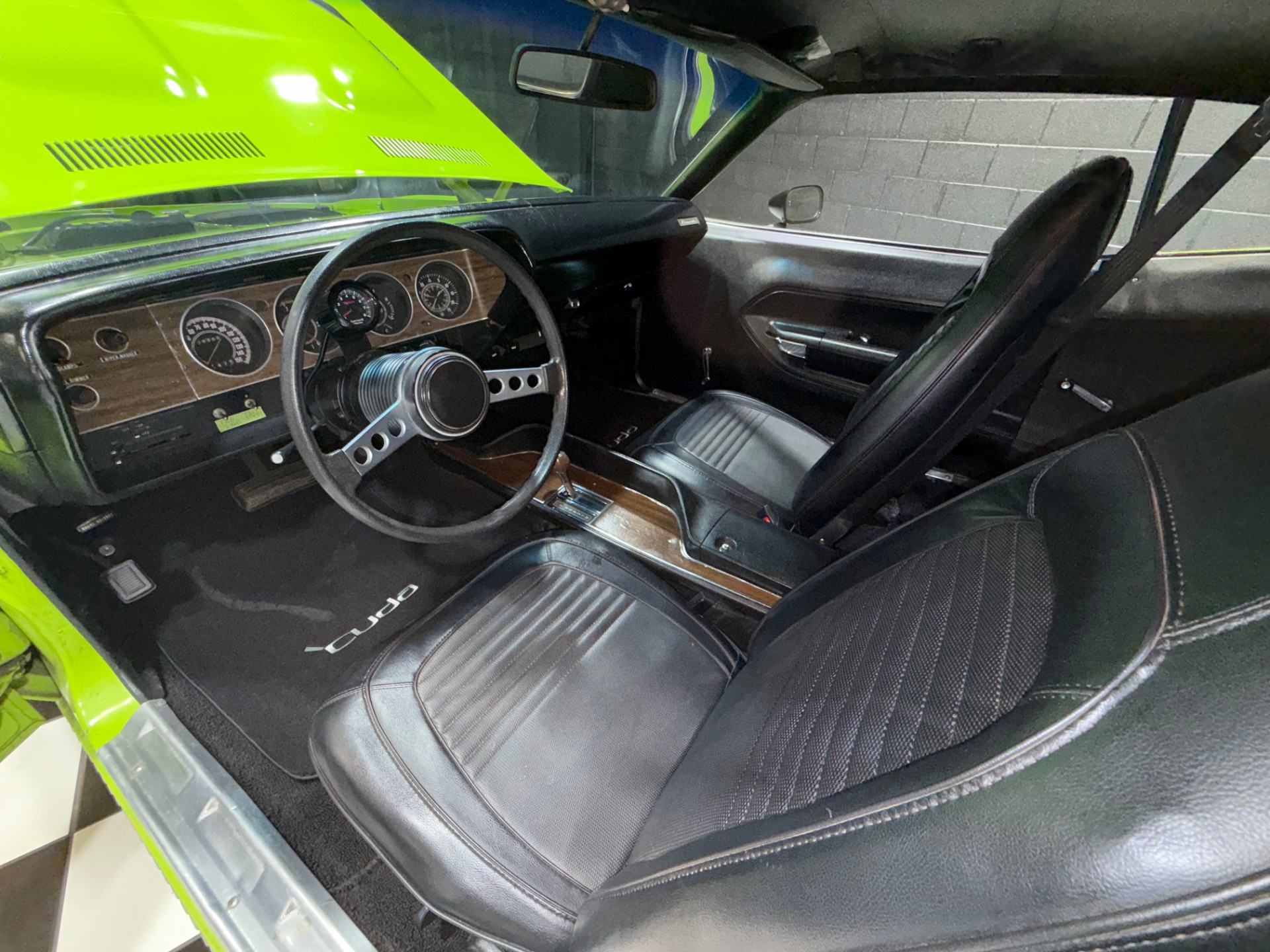 Image 5