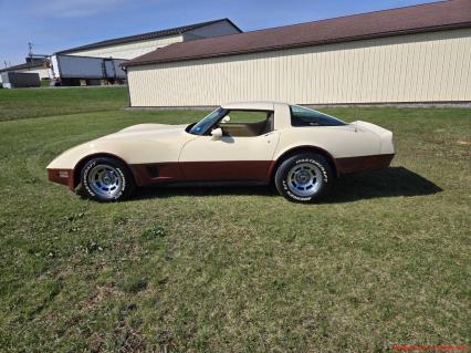 1981 Chevrolet Corvette