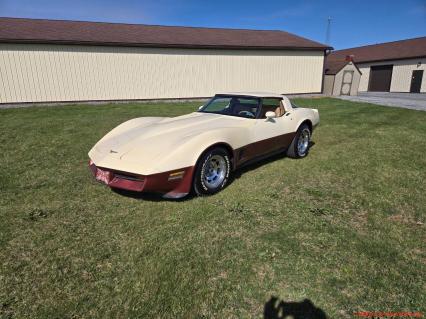 1981 Chevrolet Corvette