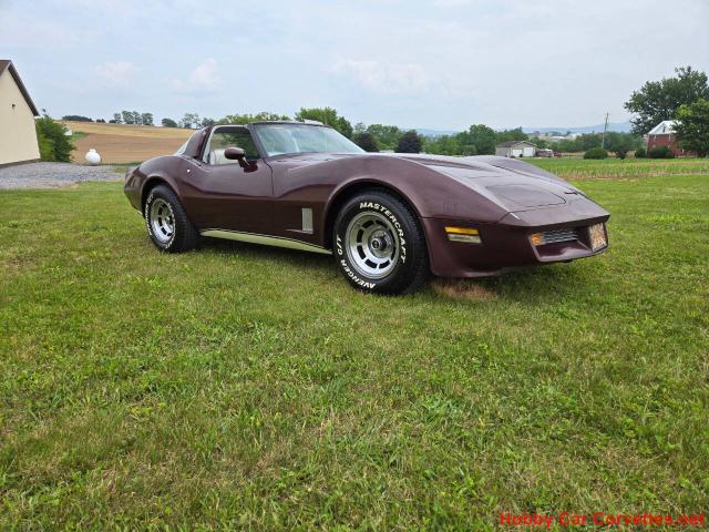 1981 Chevrolet Corvette