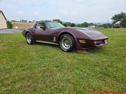 1981 Chevrolet Corvette