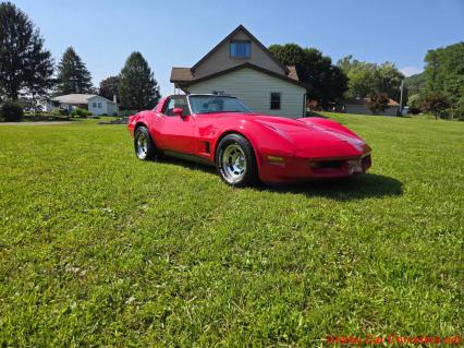 1981 Chevrolet Corvette