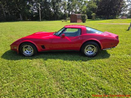 1981 Chevrolet Corvette