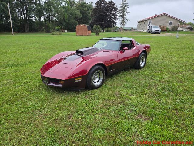 1981 Chevrolet Corvette