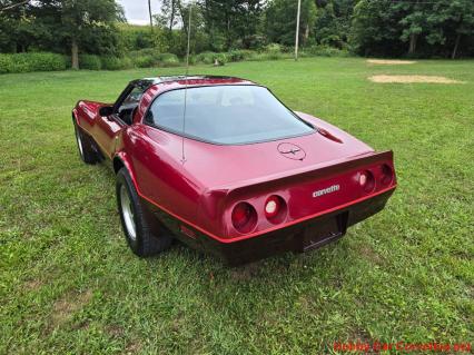 1981 Chevrolet Corvette