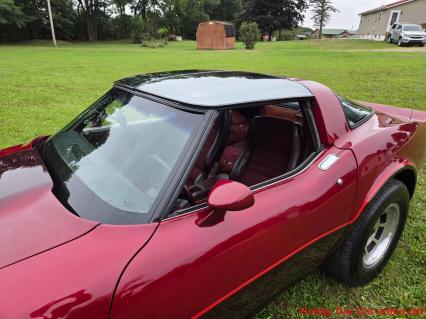 1981 Chevrolet Corvette