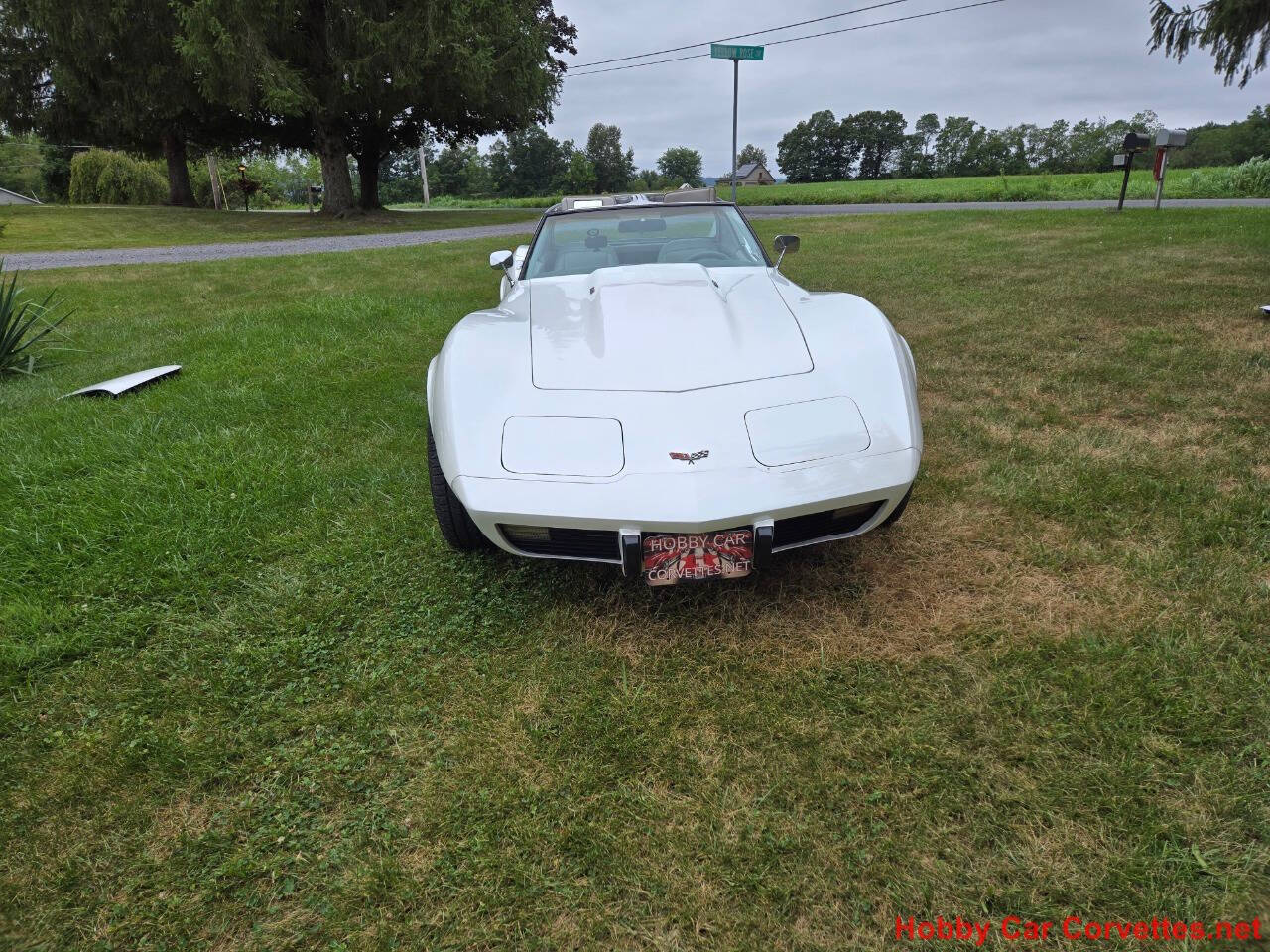 Image 7