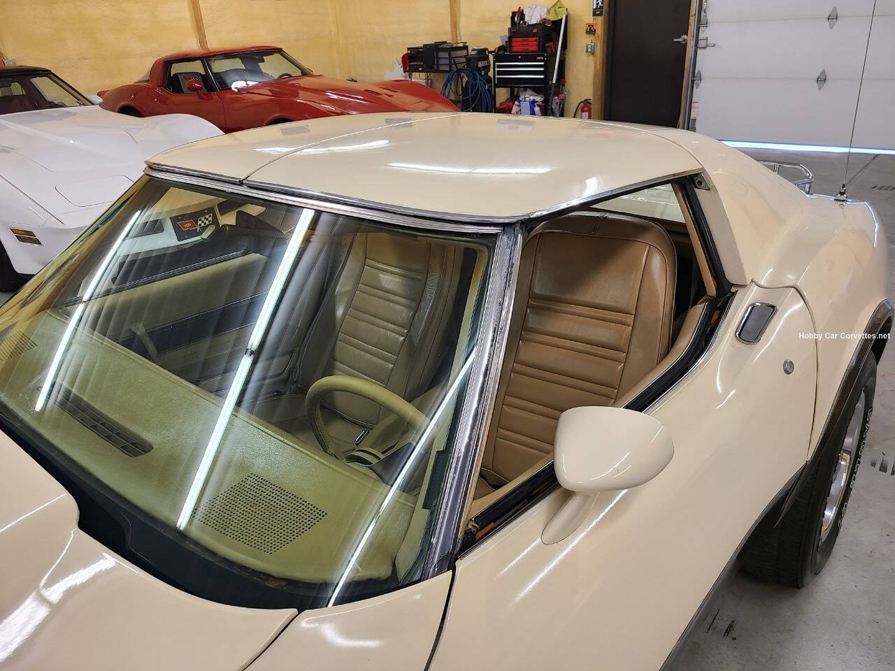 Image 13