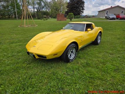 1979 Chevrolet Corvette