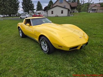 1979 Chevrolet Corvette