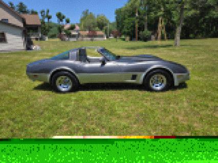 1981 Chevrolet Corvette