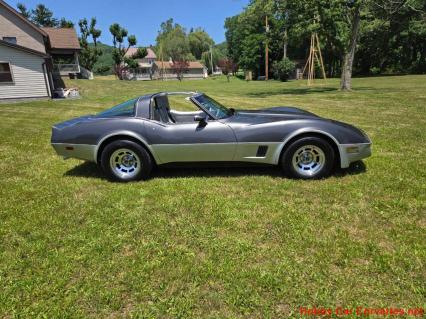 1981 Chevrolet Corvette