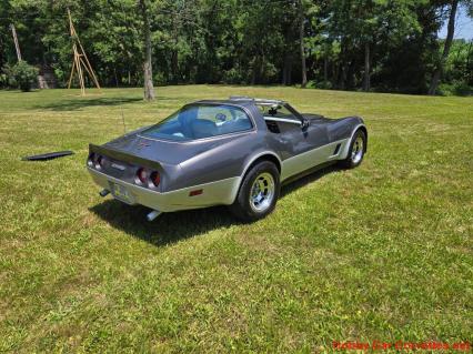 1981 Chevrolet Corvette