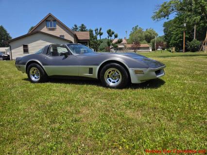 1981 Chevrolet Corvette