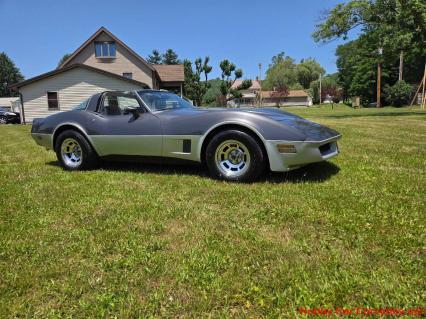 1981 Chevrolet Corvette