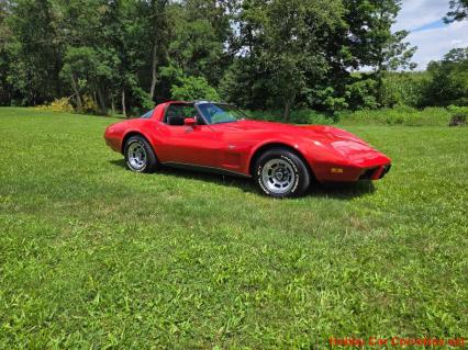 1979 Chevrolet Corvette