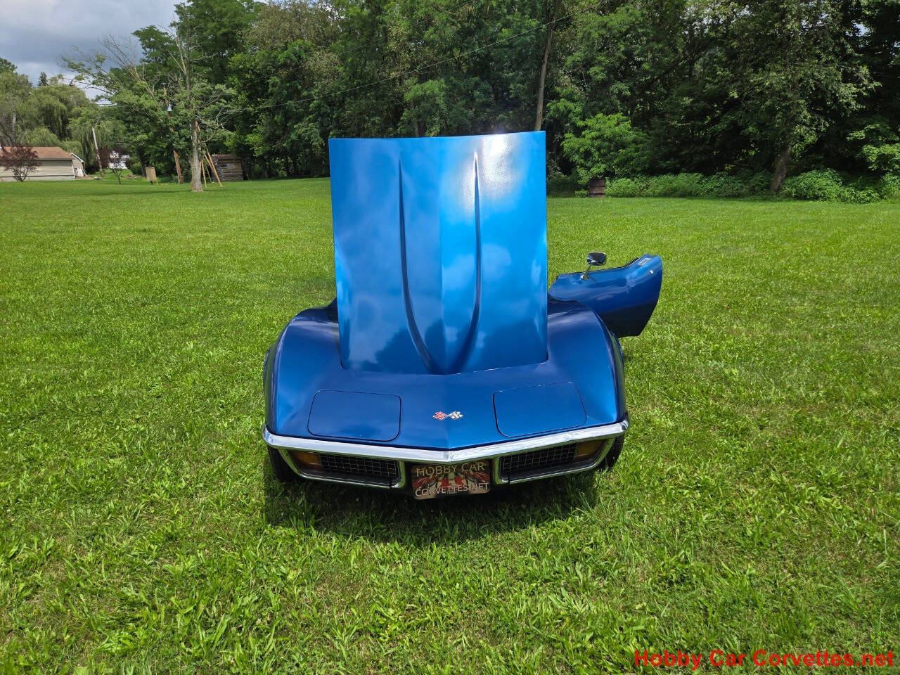 Image 41