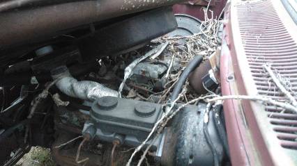 82 dodge 3/4 ton 4x4 360 4speed parting out